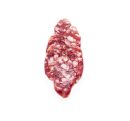 Longaniza de Aragón Casa Vieja