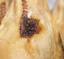 punta de jamon